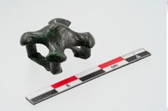 Foto von Bronzeriemendurchzug (NHMW-PRAE-024384)
